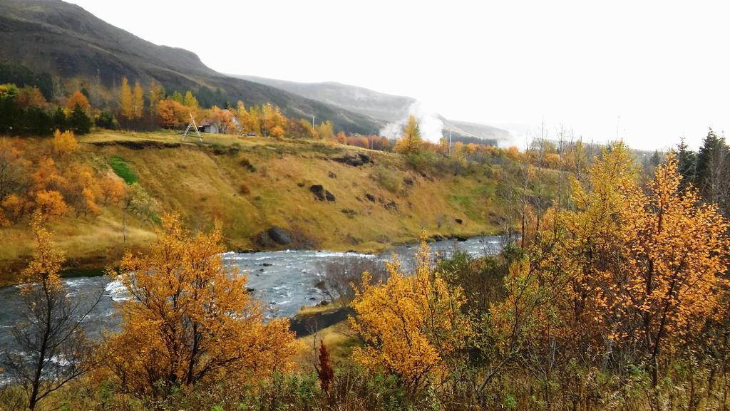 Frumskogar Guesthouse & Apartments Гвераґерді Екстер'єр фото