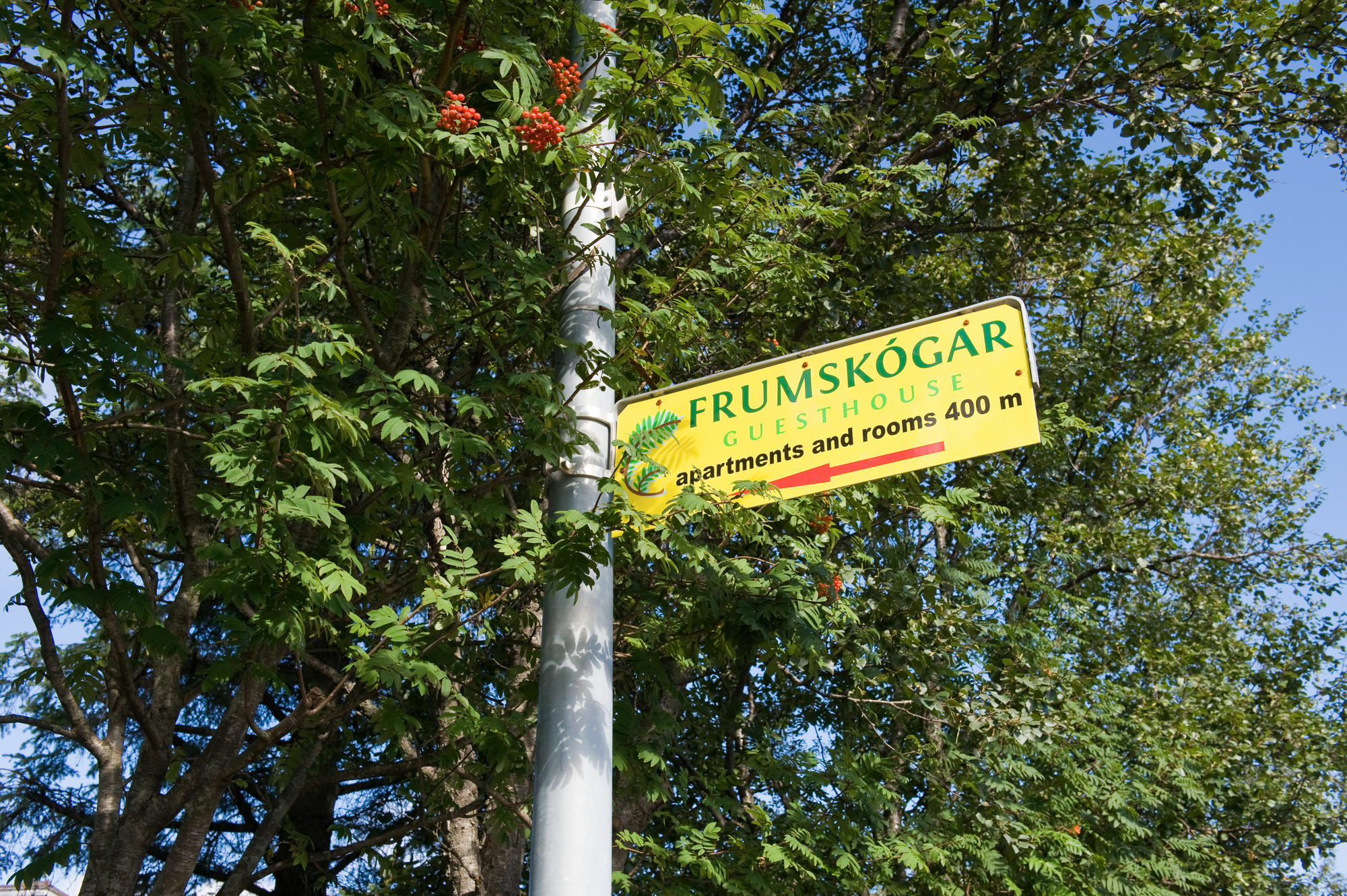 Frumskogar Guesthouse & Apartments Гвераґерді Екстер'єр фото